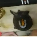 Tortoise enters Chilukuru Balaji temple while all doors closed