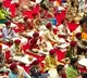 This school in Gujarats Sabarmati gives admission to students after checking their horoscope