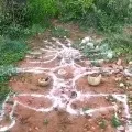 Black Magic at Kavali forest area in Nellore district