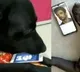 sushant family give clarity on dog