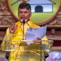 TDP Chief Chandrababu asks government show what you have did to any district