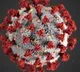 Odisha scientists research on corona virus gene mutation