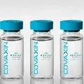 Covaxin antibodies may persist for 6 to 12 months Bharat Biotech