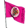 TRS Leads in 15 and 16 rounds in Dubbaka counting