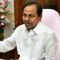 States revenue has decreased says KCR