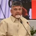 chandra babu slams ycp