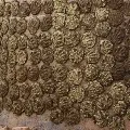Chhattishgarh govt to buy cow dung