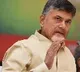 Chandrababu responds to Supreme Court decision over Panchayat Elections