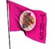 TRS candidate lost election due to her son