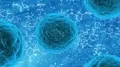 Banking of stem cells and their uses