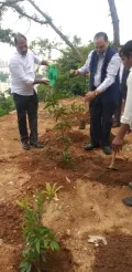 టీ-శాట్ ఆవరణలో మొక్కలు నాటిన తెలంగాణ ఛీఫ్ సెక్రటరీ ఎస్.కె.జోషీ