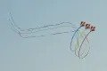 Government of Telangana To Celebrate International Kite Festival 2020