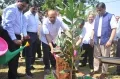 సీఎం కేసీఆర్ జన్మదినం సందర్భంగా మొక్కలు నాటిన సీఎస్!