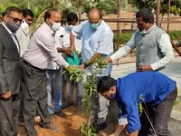  కోటి వృక్షార్చన వేడుకల్లో భాగంగా మొక్కలు నాటిన సీఎస్ సోమేశ్ కుమార్ 