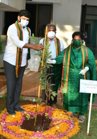 Telangana Governor plants saplings at Raj Bhavan on World Environment Day