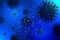 42 new positive cases reported in Telangana today