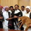 గొర్రెల సంపదలో దేశంలోనే మొదటి స్థానంలో నిలిచిన తెలంగాణ!
