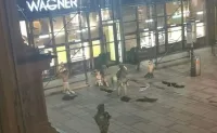 PM Modi condemns terror attacks in Vienna