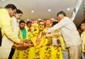 తెలుగుదేశాన్ని అధికారంలోకి తీసుకొచ్చే వరకు విశ్రమించేది లేదు: చంద్రబాబు