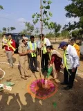 సమ్మక్క - సారలమ్మ జాతరకు అటవీ శాఖ ఏర్పాట్లు!