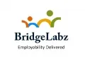 BridgeLabz Survey: More than one-third of the engineering graduates are worried about the placements
