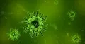 Over 400,000 COVID-19 Infections Projected in Indian Red Light Areas