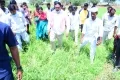 న‌ష్ట‌పోయిన రైతుల‌కు సాధ్య‌మైనంత ఎక్కువ సాయం: తెలంగాణ మంత్రి ఎర్రబెల్లి 