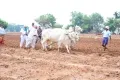 నాగ‌లి ప‌ట్టి దున్ని.. రైతుగా మారిన మంత్రి ఎర్రబెల్లి ద‌యాక‌ర్ రావు