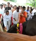 రైతులకు ఉచితంగా పాడి ఆవులను పంపిణీ చేసిన మంత్రి హరీశ్ రావు!