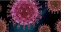 Corona Update: 253 new positive cases reported in Telangana