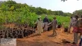 PccF Sobha visited Plantation sites and Nurseries