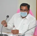 4.42 లక్షల ఎకరాల విస్తీర్ణంలో వివిధ పండ్ల తోటలు సాగులో ఉన్నాయి: తెలంగాణ మంత్రి 