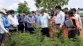 పారిశుద్ధ్య పనులు రోజు జరగాలి: తెలంగాణ సీఎస్ 
