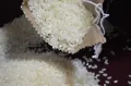 ప్లాస్టిక్ బియ్యం... ఎంత వరకు నిజం...