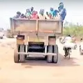 Migrant Labour went Chhattisgarh from Hyderabad on Truck