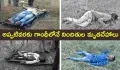 telugu.html