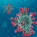 14 covid 19 cases registered in West Godavari dist