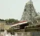 Corona Symptoms in Tirumala Youth