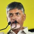 Chandrababu to meet Governor