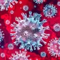 Indias coronavirus curve picks up pace again