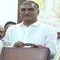 Telangana budget Rs 182914 crores