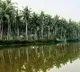 Koyambed market effect on Konaseema