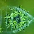 coronavirus cases in indias delhi