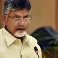 Take care of medical staff chadrababu asked jagan