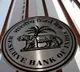 10 PSU Banks Merger Effects form April 1