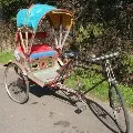 3 Migrant workers travel to Bihar from Delhi by cycle rickshaw