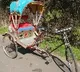 3 Migrant workers travel to Bihar from Delhi by cycle rickshaw