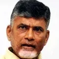 Chandrababu asks details about Macherla incident from Bonda Buddha