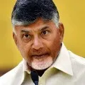 Chandrababu Naidu reacts on Nirbhaya convicts hang