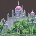 Telangana high court serious on mother and child death incident